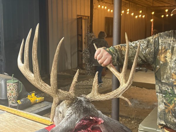 158.5/8 9 pt plus double drops